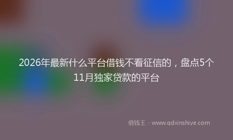 2026年最新什么平台借钱不看征信的，盘点5个11月独家贷款的平台