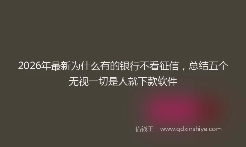 2026年最新为什么有的银行不看征信,总结五个无视一切是人就下款软件