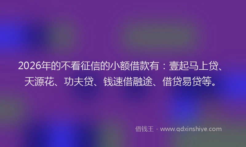 2026年的不看征信的小额借款有：壹起马上贷、天源花、功夫贷、钱速借融途、借贷易贷等。