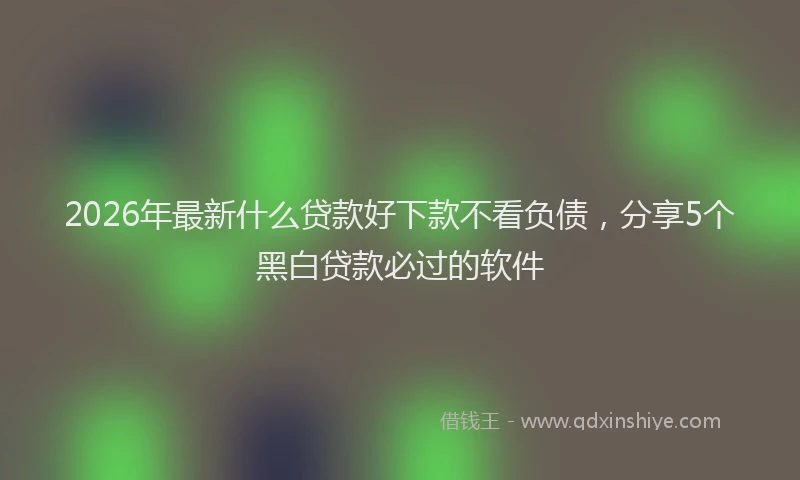 2026年最新什么贷款好下款不看负债，分享5个黑白贷款必过的软件