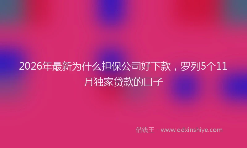 2026年最新为什么担保公司好下款,罗列5个11月独家贷款的口子