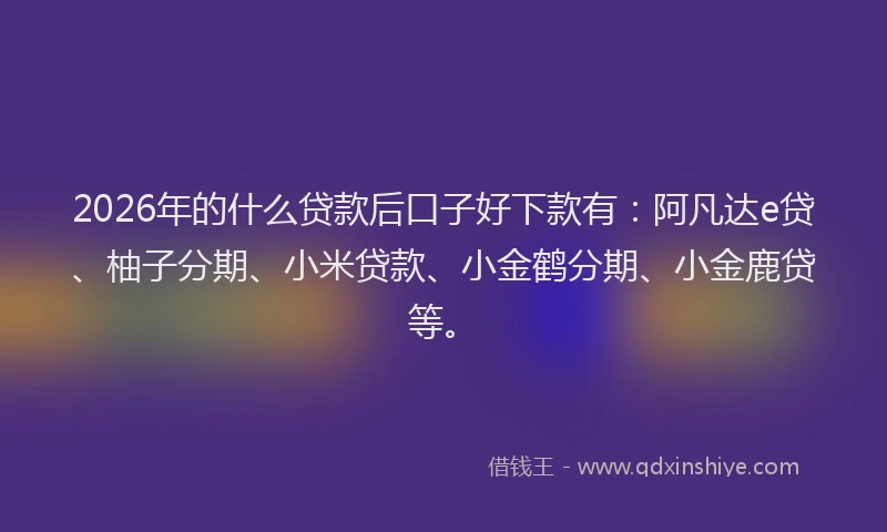 2026年的什么贷款后口子好下款有:阿凡达e贷、柚子分期、小米贷款、小金鹤分期、小金鹿贷等。