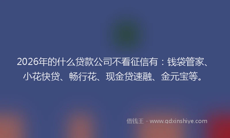 2026年的什么贷款公司不看征信有:钱袋管家、小花快贷、畅行花、现金贷速融、金元宝等。