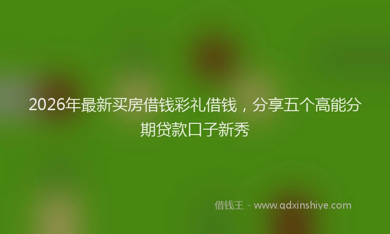2026年最新买房借钱彩礼借钱，分享五个高能分期贷款口子新秀