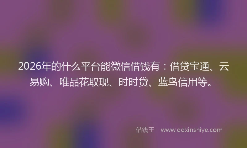 2026年的什么平台能微信借钱有：借贷宝通、云易购、唯品花取现、时时贷、蓝鸟信用等。