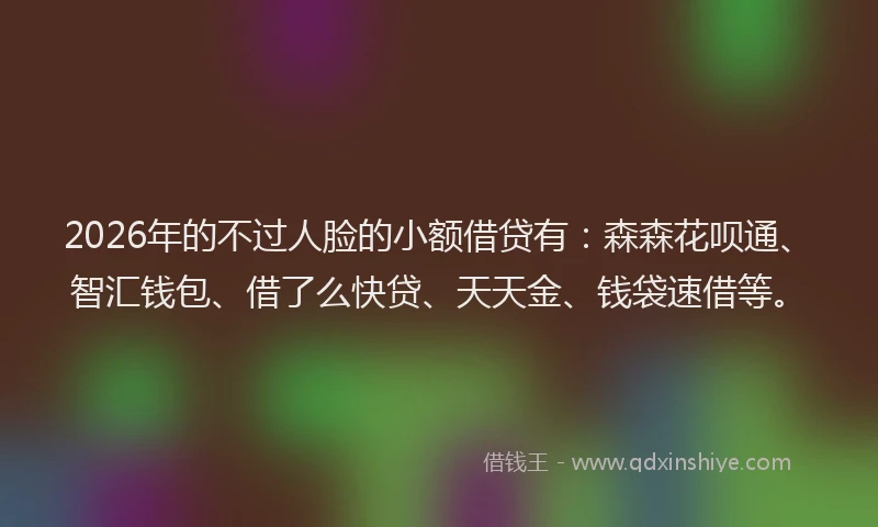 2026年的不过人脸的小额借贷有：森森花呗通、智汇钱包、借了么快贷、天天金、钱袋速借等。