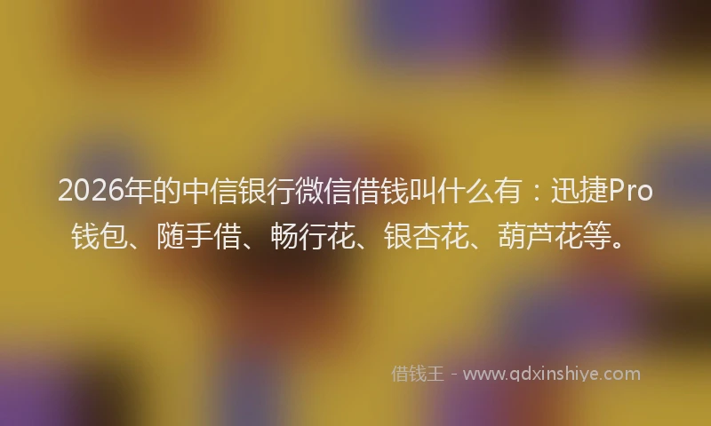 2026年的中信银行微信借钱叫什么有:迅捷Pro钱包、随手借、畅行花、银杏花、葫芦花等。