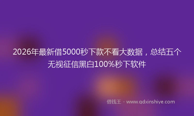 2026年最新借5000秒下款不看大数据，总结五个无视征信黑白100%秒下软件