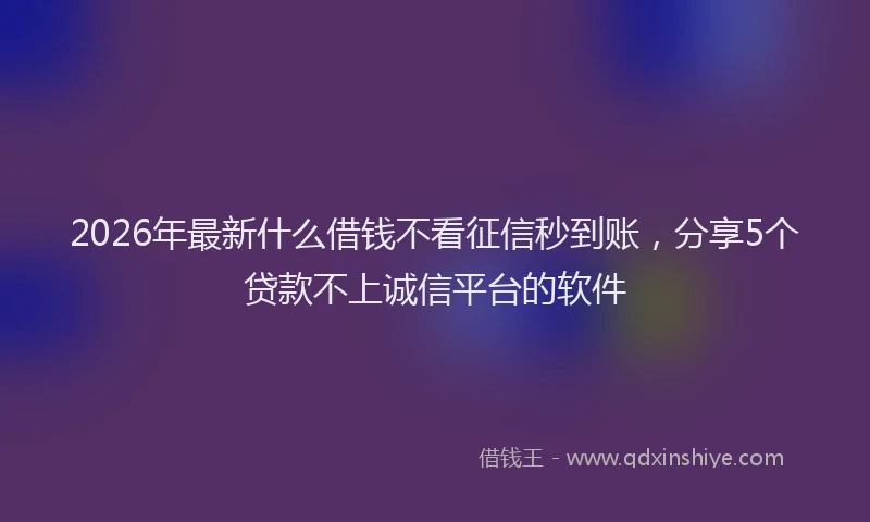 2026年最新什么借钱不看征信秒到账，分享5个贷款不上诚信平台的软件