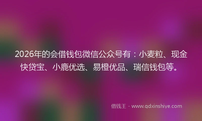 2026年的会借钱包微信公众号有：小麦粒、现金快贷宝、小鹿优选、易橙优品、瑞信钱包等。
