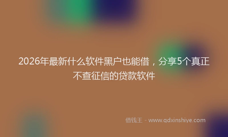 2026年最新什么软件黑户也能借，分享5个真正不查征信的贷款软件