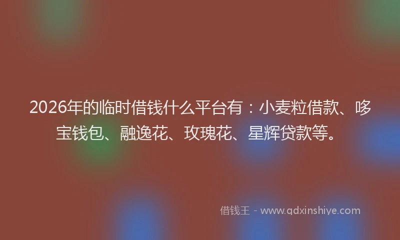 2026年的临时借钱什么平台有：小麦粒借款、哆宝钱包、融逸花、玫瑰花、星辉贷款等。