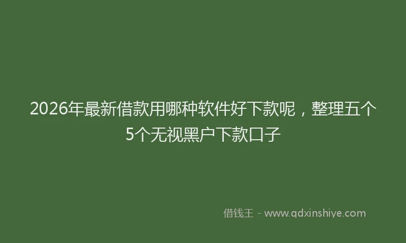 2026年最新借款用哪种软件好下款呢,整理五个5个无视黑户下款口子