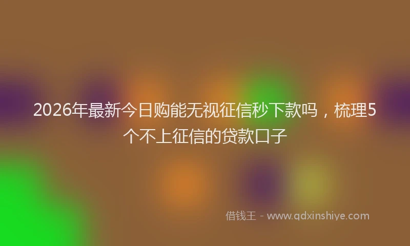 2026年最新今日购能无视征信秒下款吗，梳理5个不上征信的贷款口子