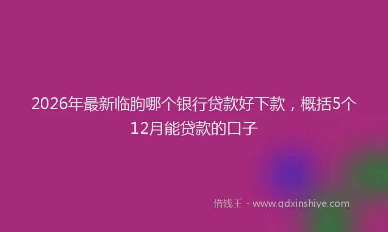 2026年最新临朐哪个银行贷款好下款,概括5个12月能贷款的口子