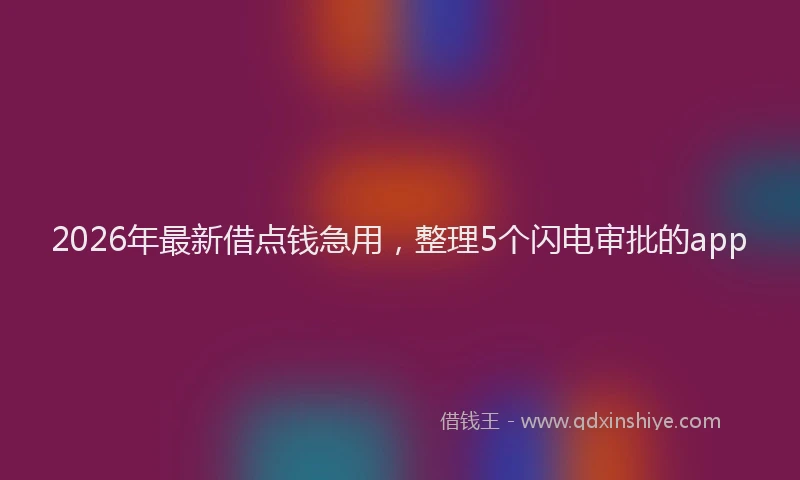 2026年最新借点钱急用，整理5个闪电审批的app