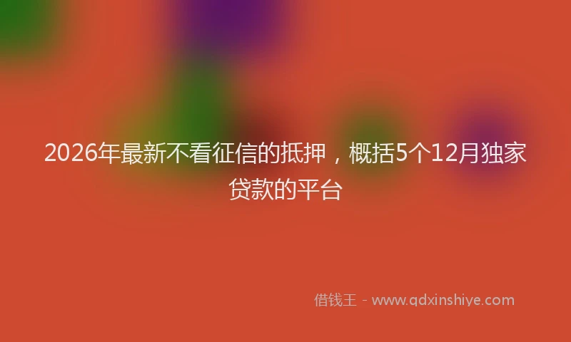 2026年最新不看征信的抵押，概括5个12月独家贷款的平台