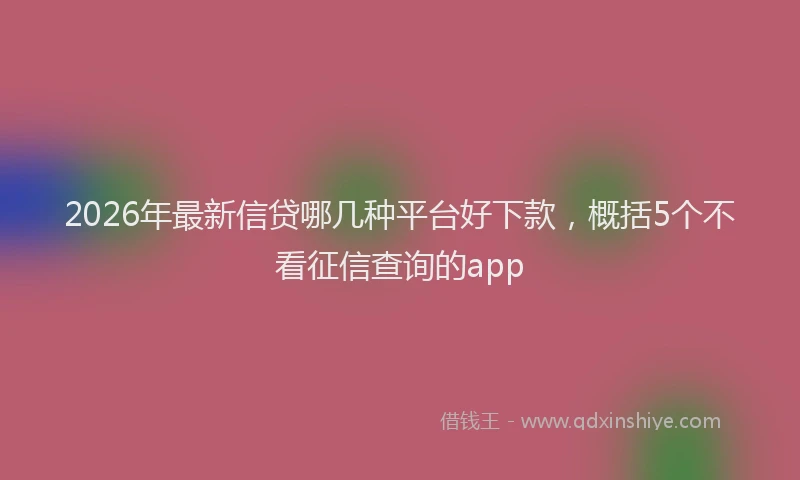 2026年最新信贷哪几种平台好下款，概括5个不看征信查询的app