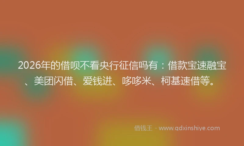 2026年的借呗不看央行征信吗有：借款宝速融宝、美团闪借、爱钱进、哆哆米、柯基速借等。