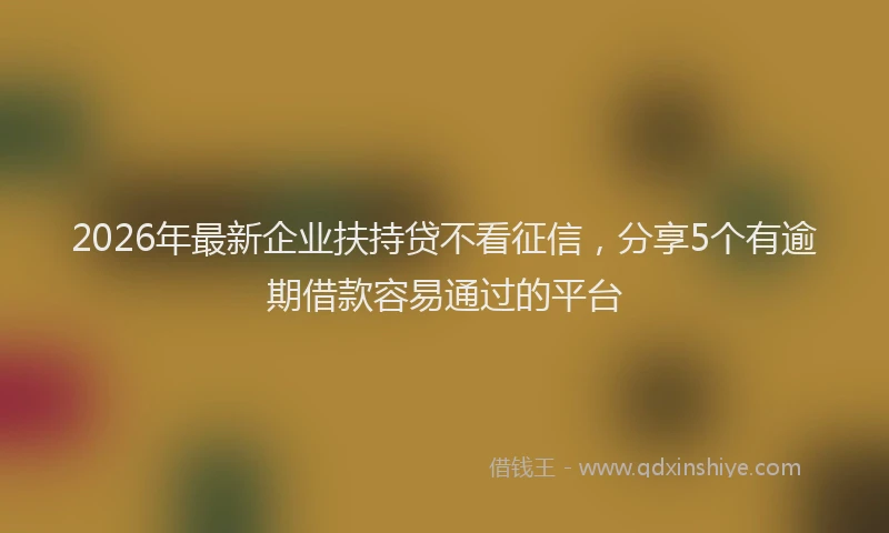 2026年最新企业扶持贷不看征信，分享5个有逾期借款容易通过的平台