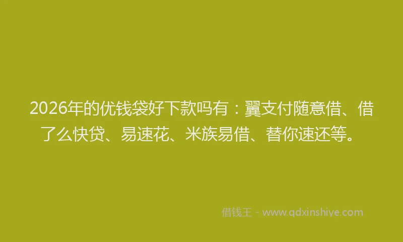 2026年的优钱袋好下款吗有：翼支付随意借、借了么快贷、易速花、米族易借、替你速还等。