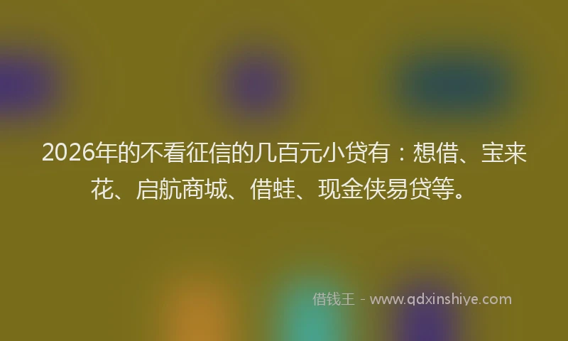 2026年的不看征信的几百元小贷有：想借、宝来花、启航商城、借蛙、现金侠易贷等。
