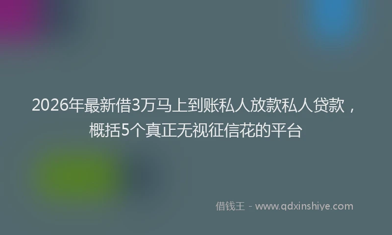 2026年最新借3万马上到账私人放款私人贷款，概括5个真正无视征信花的平台