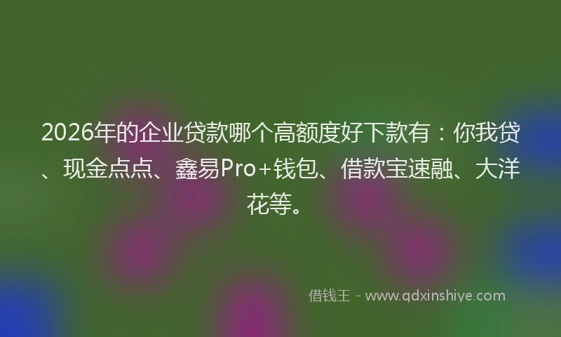 2026年的企业贷款哪个高额度好下款有：你我贷、现金点点、鑫易Pro+钱包、借款宝速融、大洋花等。