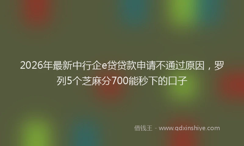 2026年最新中行企e贷贷款申请不通过原因，罗列5个芝麻分700能秒下的口子