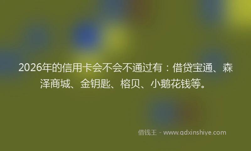 2026年的信用卡会不会不通过有：借贷宝通、森泽商城、金钥匙、榕贝、小鹅花钱等。