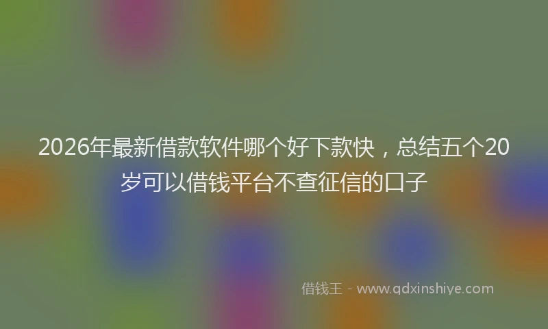 2026年最新借款软件哪个好下款快，总结五个20岁可以借钱平台不查征信的口子