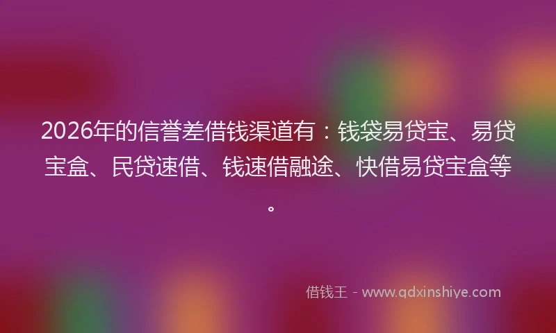 2026年的信誉差借钱渠道有：钱袋易贷宝、易贷宝盒、民贷速借、钱速借融途、快借易贷宝盒等。
