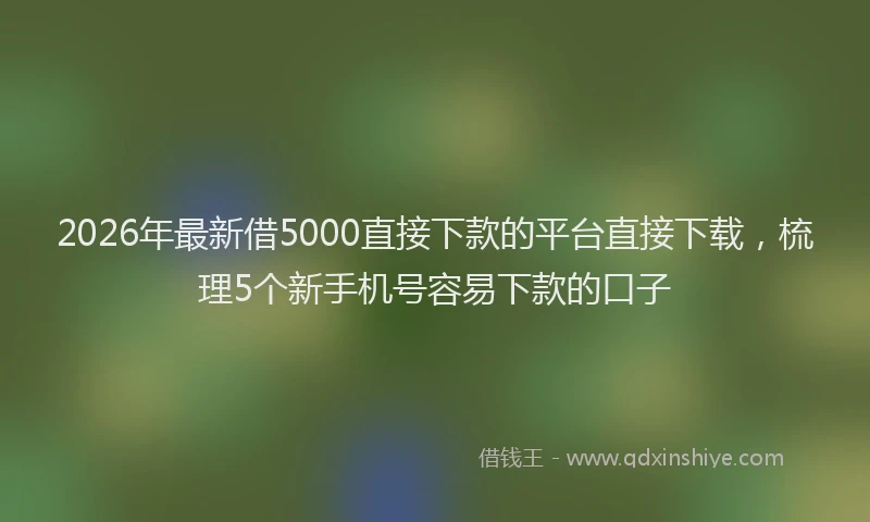 2026年最新借5000直接下款的平台直接下载，梳理5个新手机号容易下款的口子