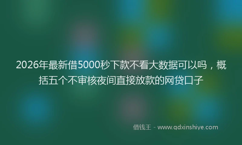 2026年最新借5000秒下款不看大数据可以吗，概括五个不审核夜间直接放款的网贷口子