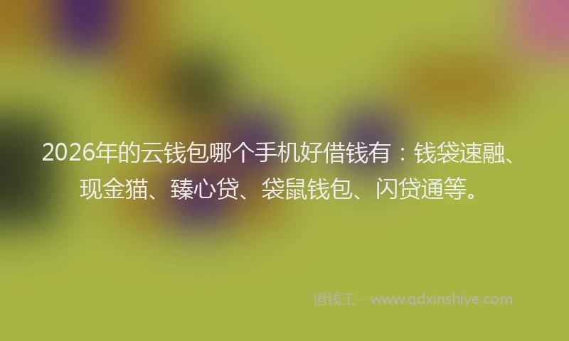 2026年的云钱包哪个手机好借钱有：钱袋速融、现金猫、臻心贷、袋鼠钱包、闪贷通等。