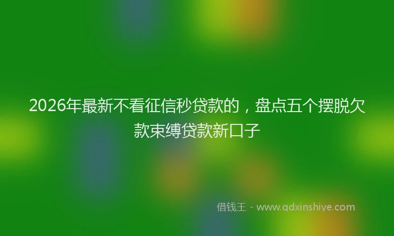 2026年最新不看征信秒贷款的，盘点五个摆脱欠款束缚贷款新口子