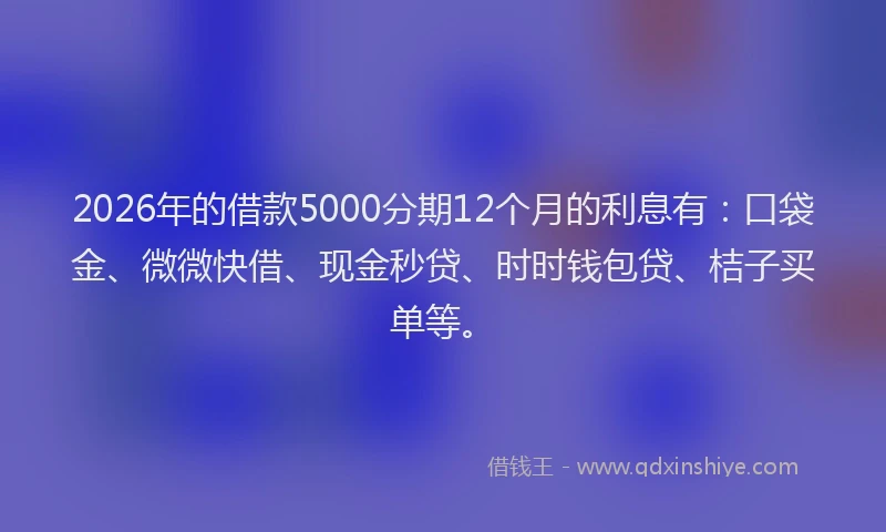 2026年的借款5000分期12个月的利息有：口袋金、微微快借、现金秒贷、时时钱包贷、桔子买单等。