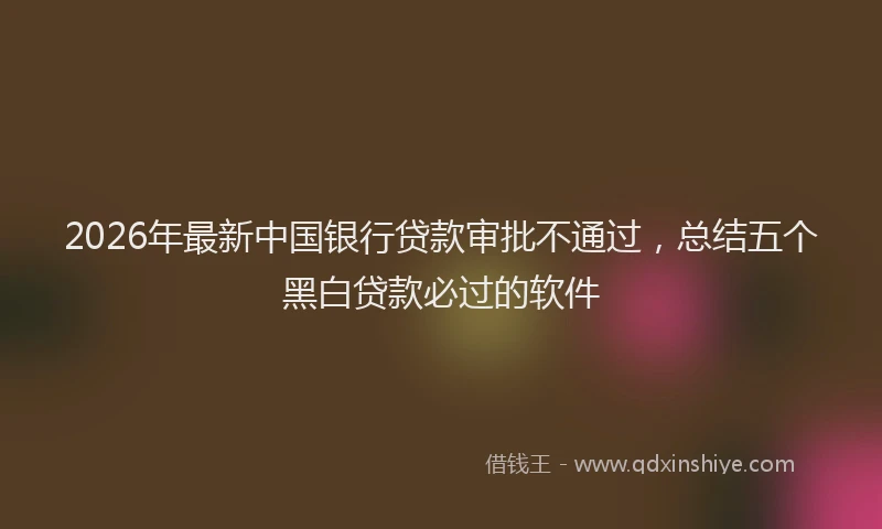 2026年最新中国银行贷款审批不通过，总结五个黑白贷款必过的软件