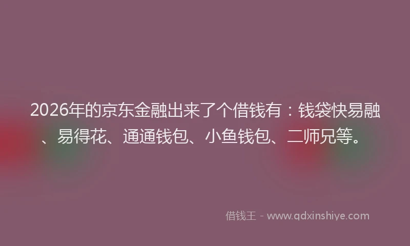 2026年的京东金融出来了个借钱有：钱袋快易融、易得花、通通钱包、小鱼钱包、二师兄等。