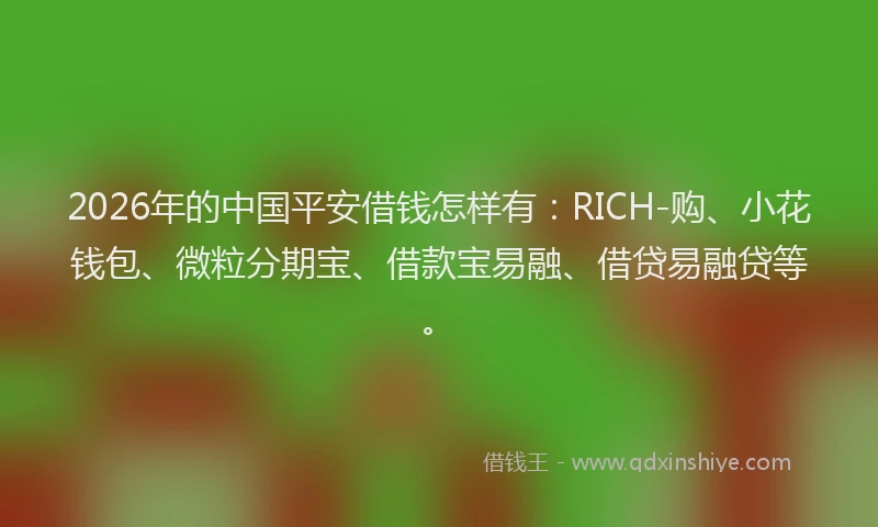 2026年的中国平安借钱怎样有:RICH-购、小花钱包、微粒分期宝、借款宝易融、借贷易融贷等。