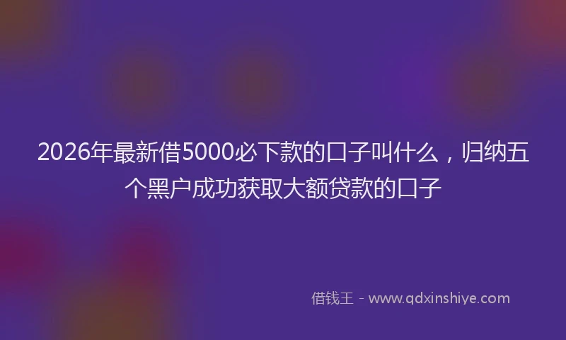 2026年最新借5000必下款的口子叫什么，归纳五个黑户成功获取大额贷款的口子
