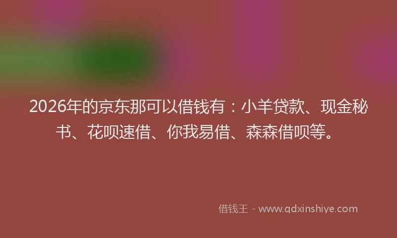 2026年的京东那可以借钱有：小羊贷款、现金秘书、花呗速借、你我易借、森森借呗等。