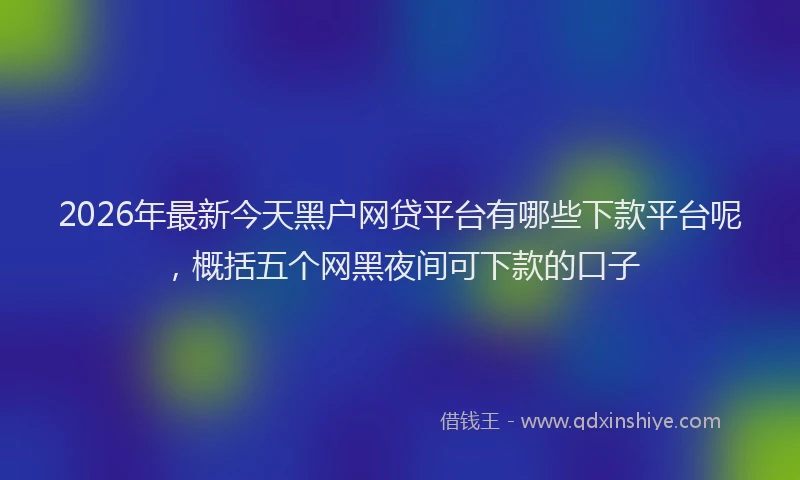 2026年最新今天黑户网贷平台有哪些下款平台呢，概括五个网黑夜间可下款的口子
