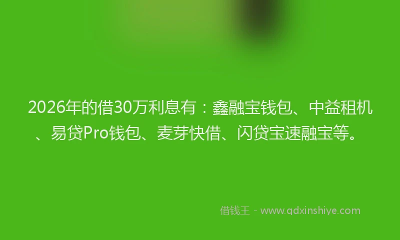 2026年的借30万利息有：鑫融宝钱包、中益租机、易贷Pro钱包、麦芽快借、闪贷宝速融宝等。