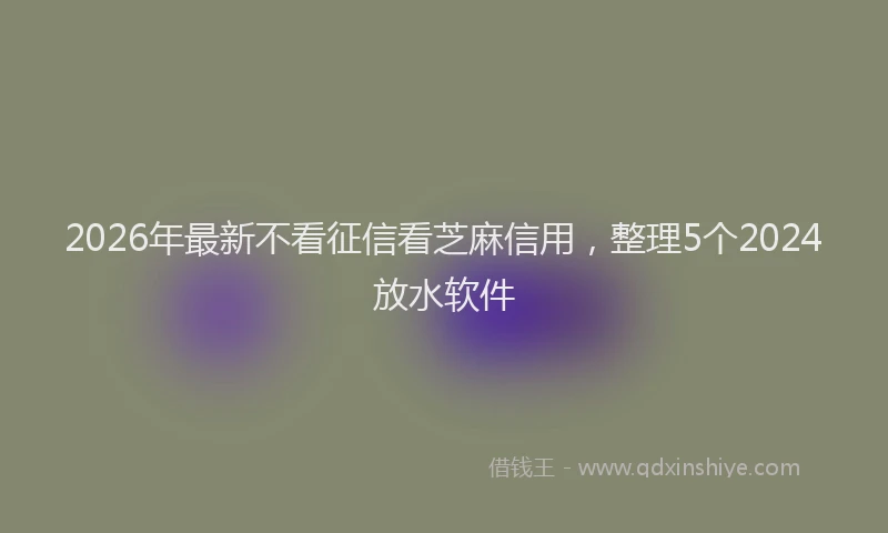 2026年最新不看征信看芝麻信用，整理5个2024放水软件