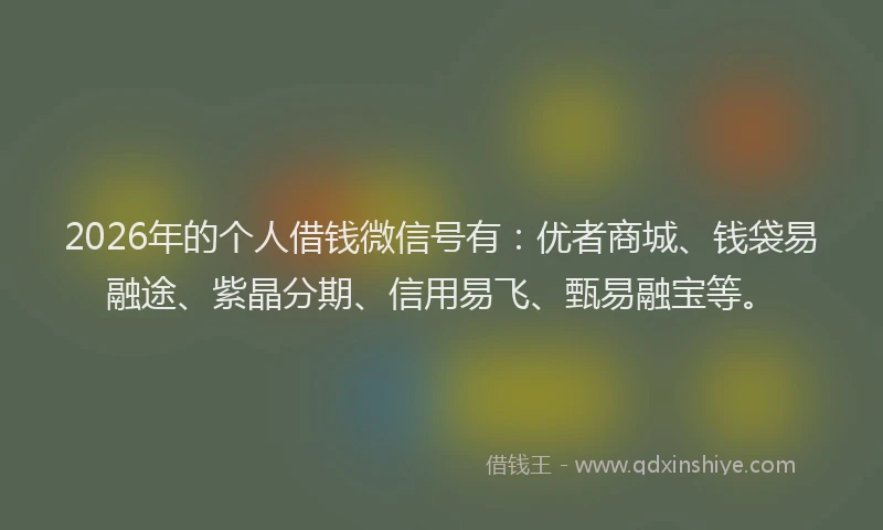 2026年的个人借钱微信号有:优者商城、钱袋易融途、紫晶分期、信用易飞、甄易融宝等。