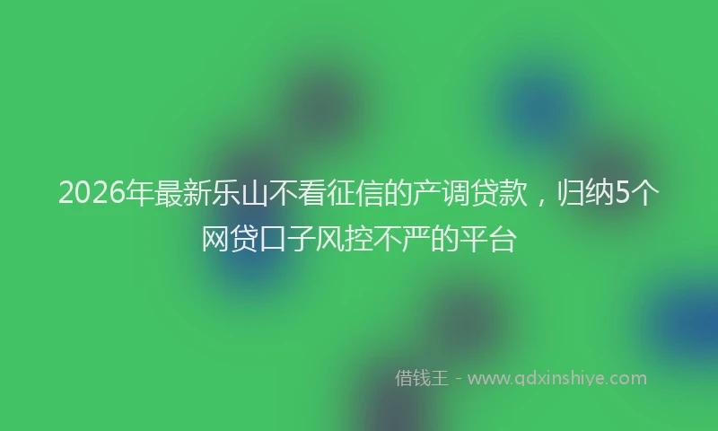 2026年最新乐山不看征信的产调贷款，归纳5个网贷口子风控不严的平台