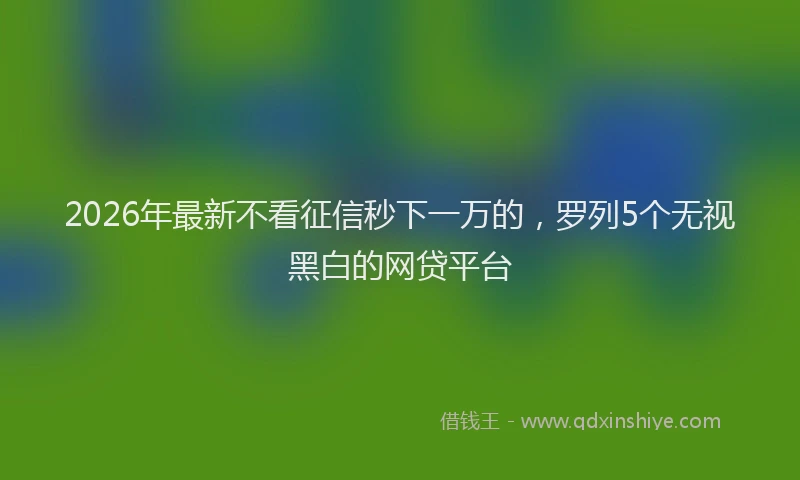 2026年最新不看征信秒下一万的,罗列5个无视黑白的网贷平台