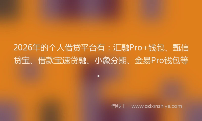 2026年的个人借贷平台有:汇融Pro+钱包、甄信贷宝、借款宝速贷融、小象分期、金易Pro钱包等。