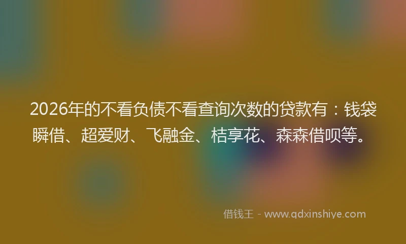 2026年的不看负债不看查询次数的贷款有：钱袋瞬借、超爱财、飞融金、桔享花、森森借呗等。